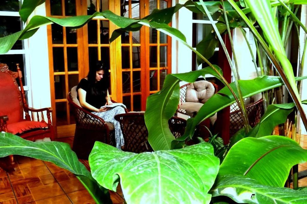 סן חוזה Sura Bed And Breakfast מראה חיצוני תמונה